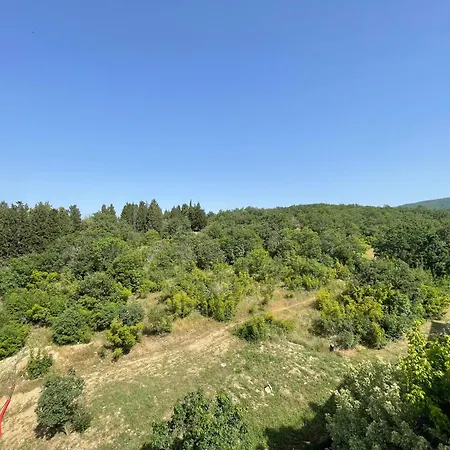 - Prestige Sea Viev * Sunny Beach